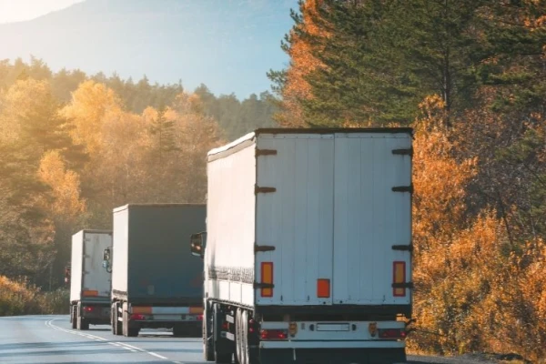 Ankara Bartın Nakliyat